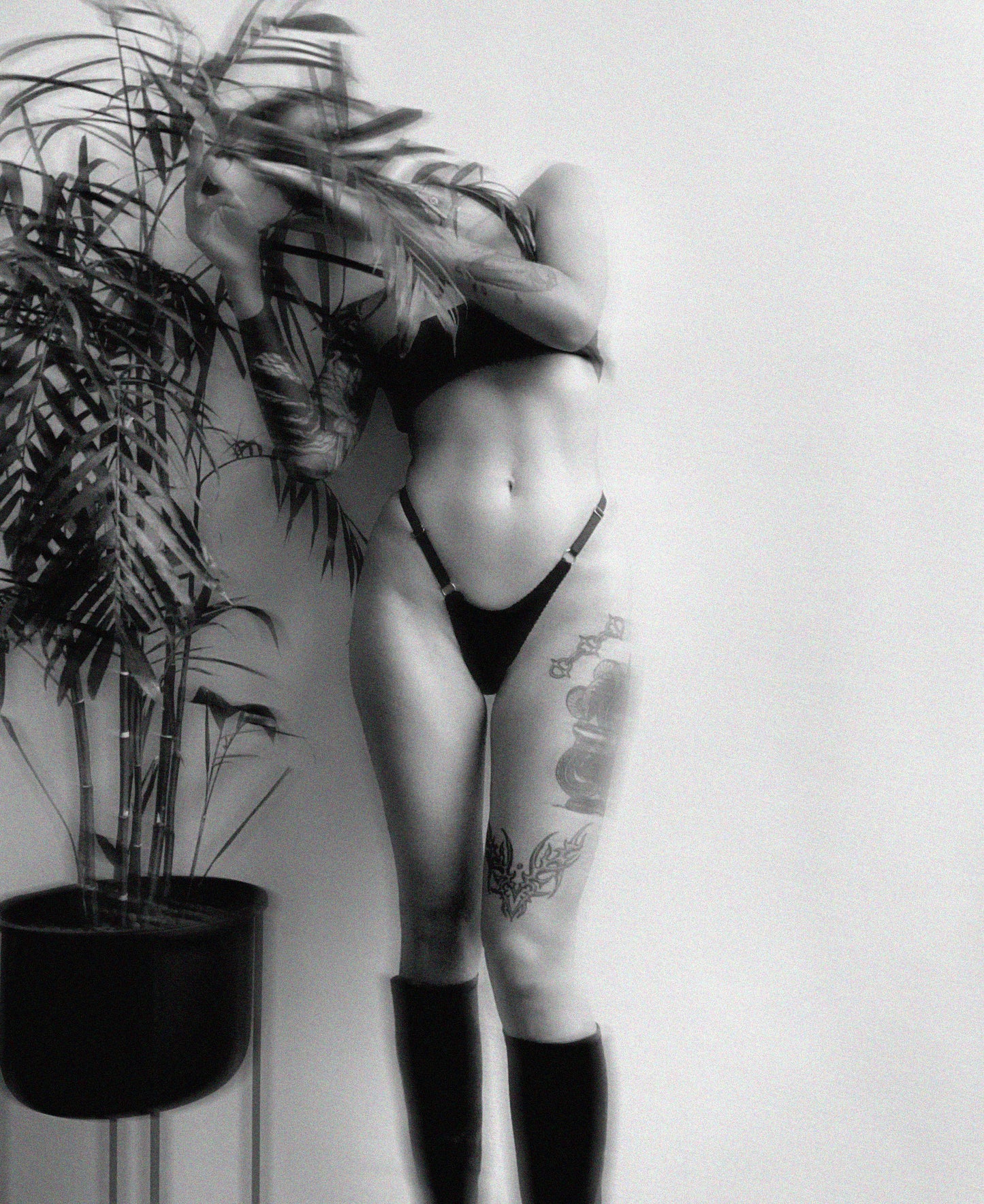Thong 4 (Reworked)